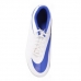 CHUTEIRA CAMPO NIKE BRAVATA II FG