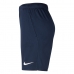 SHORT NIKE MNSTR MESH 5.0 - MASCULINO