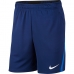 SHORT NIKE DRY 5.0 - MASCULINO