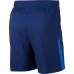 SHORT NIKE DRY 5.0 - MASCULINO