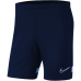 SHORT NIKE DRY ACADEMY 21 - MASCULINO