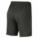 SHORT NIKE MNSTR MESH 5.0 - MASCULINO