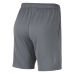 SHORT NIKE MNSTR MESH 5.0 - MASCULINO