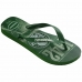 CHINELO DEDO HAVAIANAS TOP PALMEIRAS