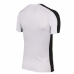 CAMISETA NIKE DRI FIT ACADEMY 23 - MASCULINA