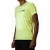 CAMISETA OBBIA BEEBOX - MASCULINA