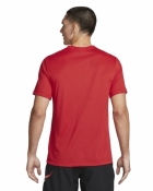 CAMISETA NIKE DF TEE RLGD RESET - MASCULINA